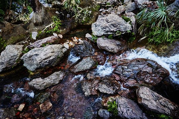 El Questro - Zebedee Springs (29/06/2017 - Credits: Tourism Western Australia)