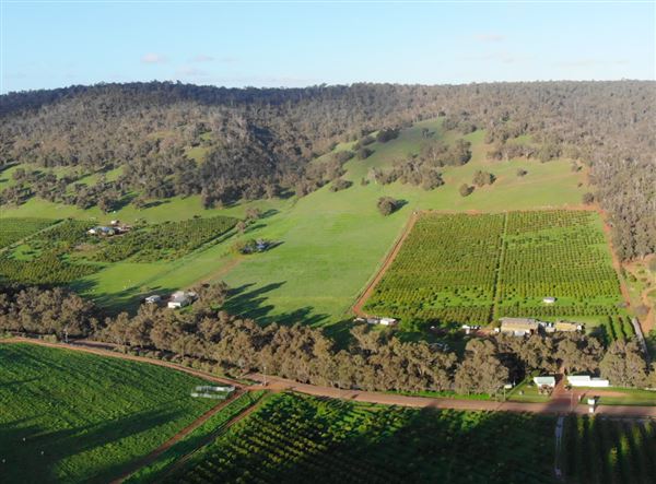 The Orchard Perth Pty Ltd (1/07/2020 - Credits: The Orchard Perth Pty Ltd)