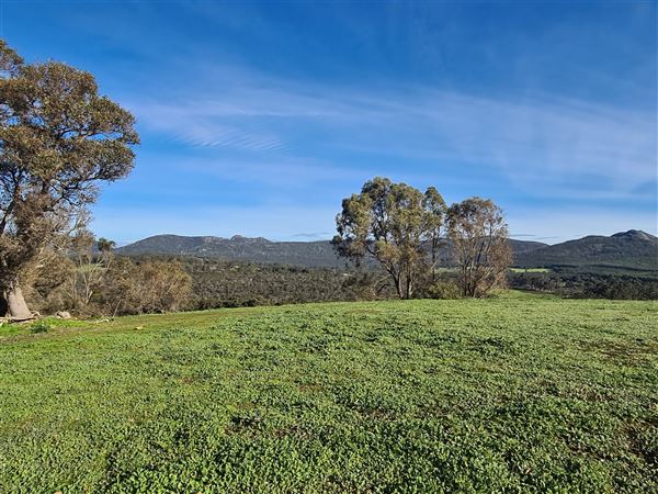 Craigendarroch, Porongurup (2/11/2021 - Credits: CMMS ELPS)