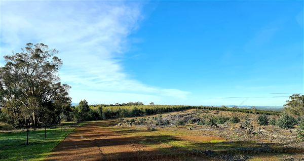 Craigendarroch, Porongurup (2/11/2021 - Credits: CMMS ELPS)