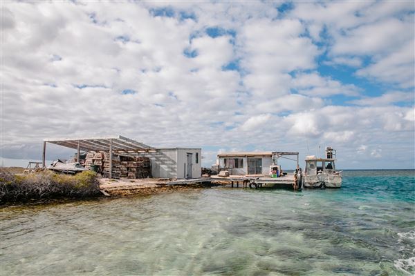 Post Office Island (8/04/2022 - Credits: Liddon Pearls (pictures by Nic Duncan, Simon Cowling and James Simmons))