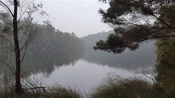 Pemberton - Big Brook Dam (9/03/2023)