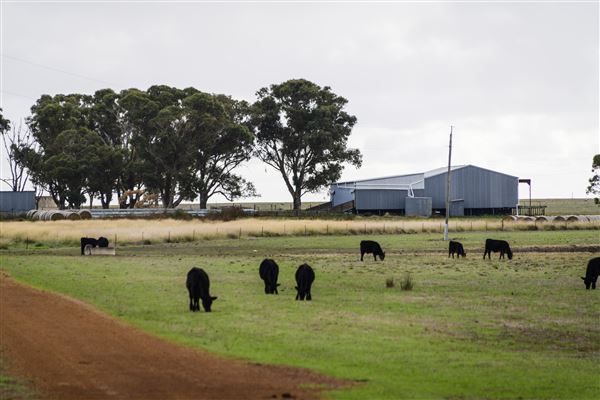 Esperance (3/04/2023 - Credits: Ian Brodie)