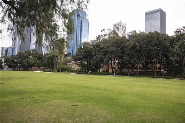 Supreme Court Gardens (18/10/2023 - Credits: Shea Walsh)