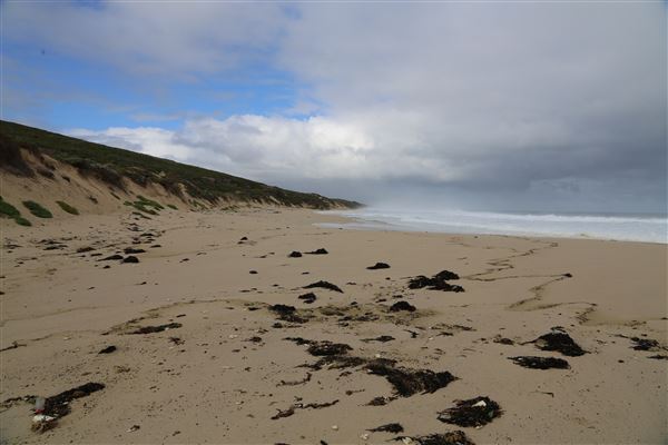 Gracetown (6/06/2023 - Credits: Aidan O'Bryan)