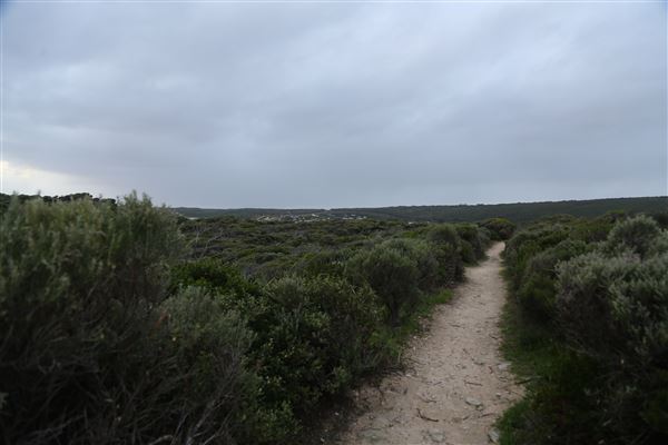 Margaret River - Prevelly (6/06/2023 - Credits: Aidan O'Bryan)