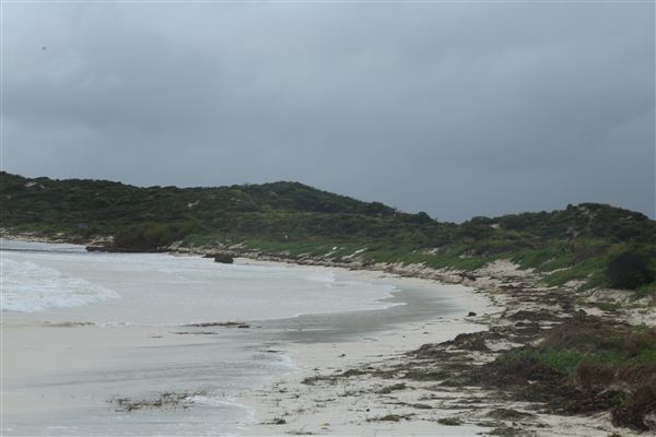 Hangover Bay (6/06/2023 - Credits: Aidan O'Bryan)