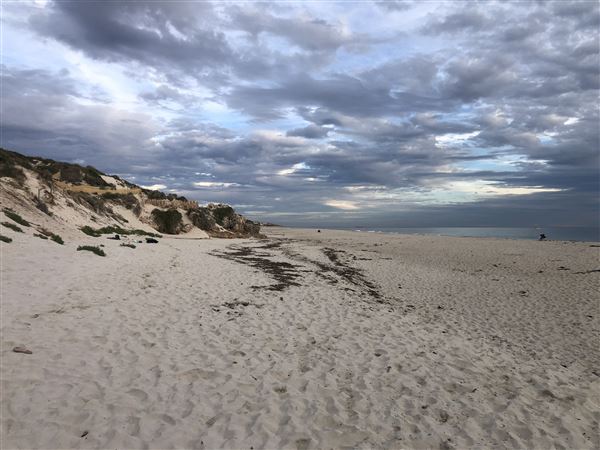 Claytons Beach (6/06/2023 - Credits: Aidan O'Bryan)