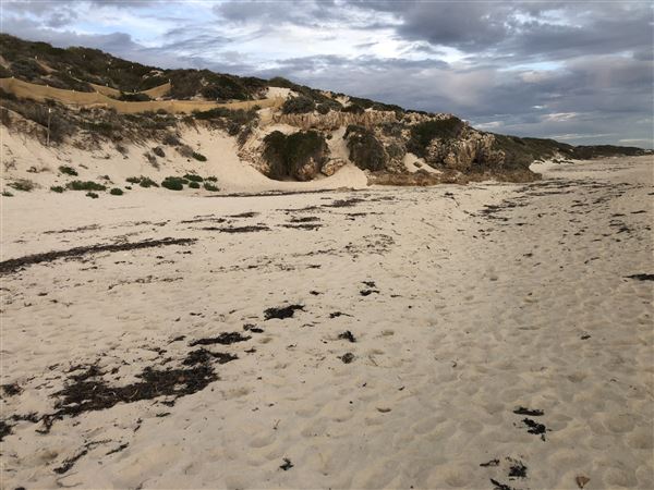 Claytons Beach (6/06/2023 - Credits: Aidan O'Bryan)