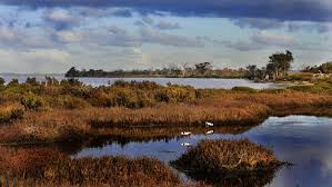 Murray River and Peel-Harvey Estuary (30/05/2024)