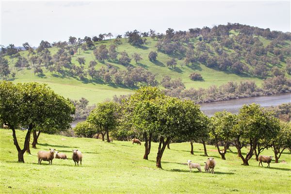 The Chittering Valley (14/06/2024 - Credits: Tourism Western Australia)