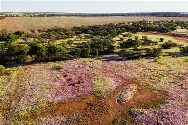 Wheatbelt Region (26/07/2024 - Credits: Tourism Western Australia)