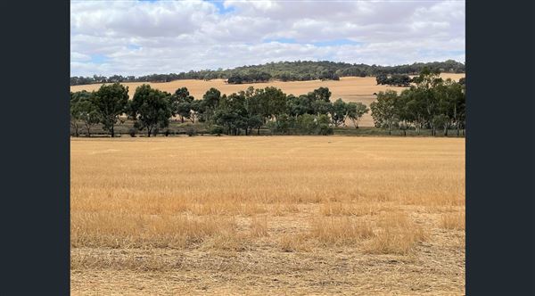 Northam (29/07/2024)