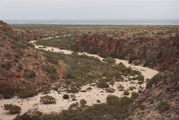 Cape Range National Park (9/08/2024)