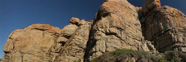 Wilyabrup (13/08/2024)