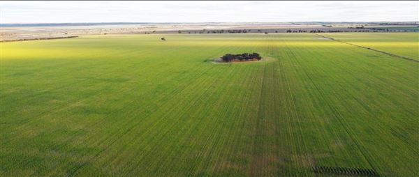 Wheatbelt Region (20/09/2024)
