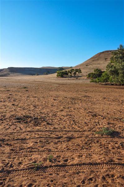 Chapman Valley (28/10/2024 - Credits: Chris Veerhuis)