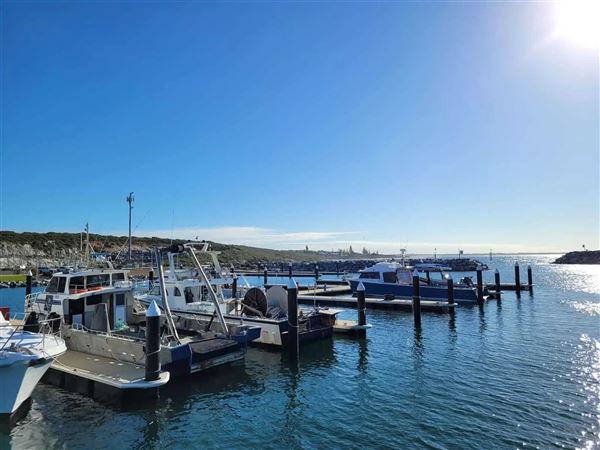 Augusta - Boat Harbour (13/11/2024)