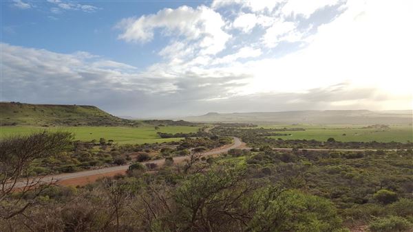 Chapman Valley (25/11/2024)