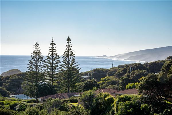 Yallingup (8/01/2025 - Credits: Private Properties Pty Ltd)