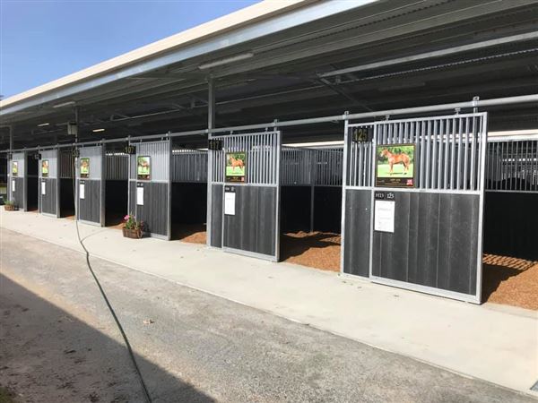 Gold Front Breeding & Racing (28/01/2025)