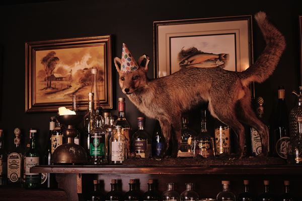 Foxtrot Unicorn (23/05/2025 - Credits: Foxtrot Unicorn)