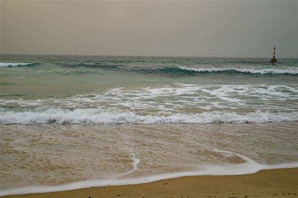 Cottesloe Beach (20/05/2025 - Credits: Xander Kabat)