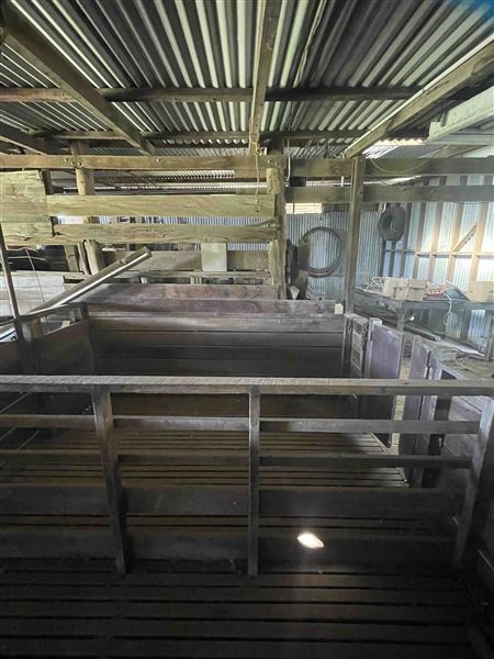 Shearing Shed @ Duke's Vineyard (28/06/2025 - Credits: Sarah Date)