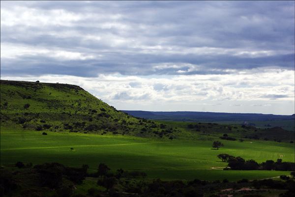 Chapman Valley (2/07/2025)