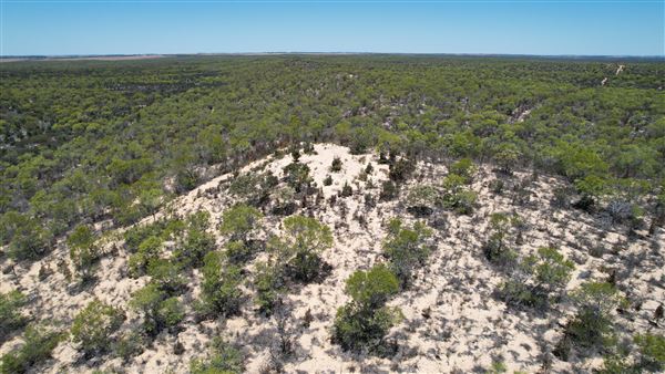 Coorow Farm (1/01/2025 - Credits: Chris Pryor, Tracy Izzard and Leonie Hull)
