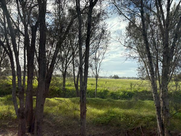 Kargotich Rd (13/08/2025)