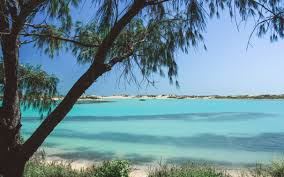 Coconut Wells (Goolarabooloo Millibinyarri) (14/11/2025)