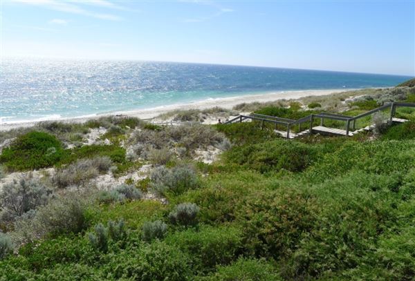 Cottesloe Beach (14/11/2025)