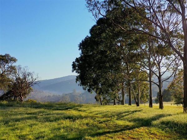 Brigadoon - Campresic Road (10/03/2026)
