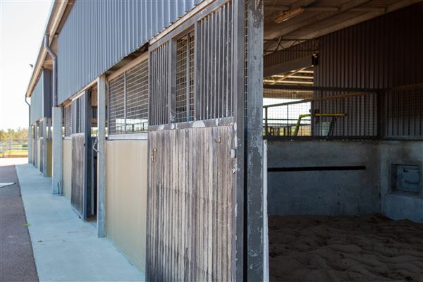Gold Front Breeding & Racing (11/03/2026 - Credits: Louise Brady)