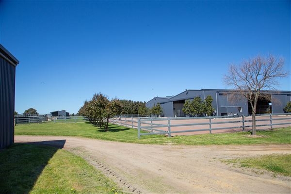 Gold Front Breeding & Racing (11/03/2026 - Credits: Louise Brady)