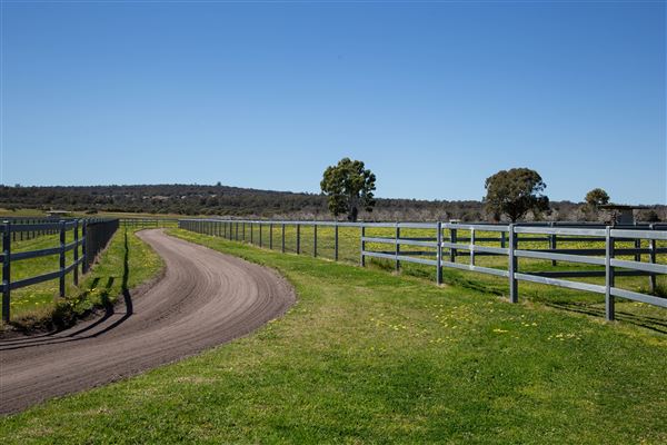 Gold Front Breeding & Racing (11/03/2026 - Credits: Louise Brady)