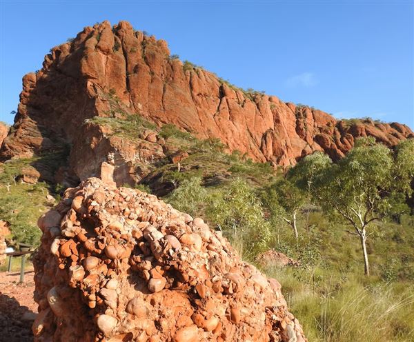 Bungle Bungles Range - Purnululu National Park (17/07/2026 - Credits: DBCA)