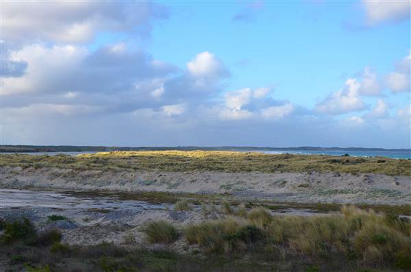 Augusta (18/03/2015)
