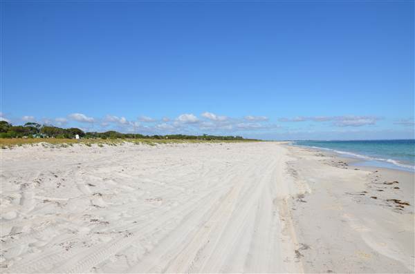 Busselton - Busselton beach (19/03/2015)