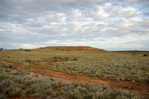 Coolgardie Outskirts (19/03/2015 - Credits: Tim Burns)