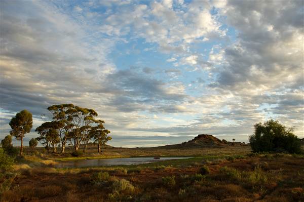 Coolgardie Outskirts (19/03/2015 - Credits: Tim Burns)
