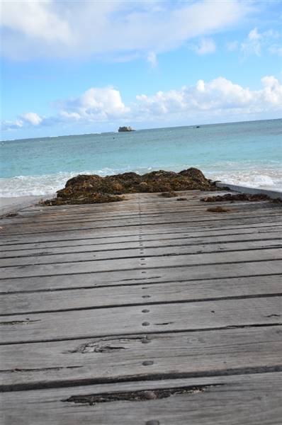 Hamelin Bay (23/03/2015)
