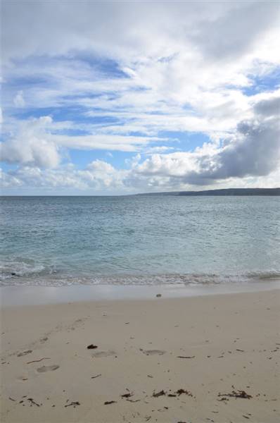 Hamelin Bay (23/03/2015)