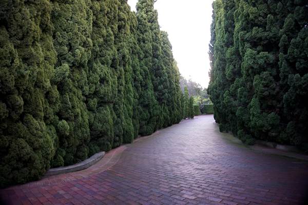 Karrakatta Cemetery (24/03/2015)