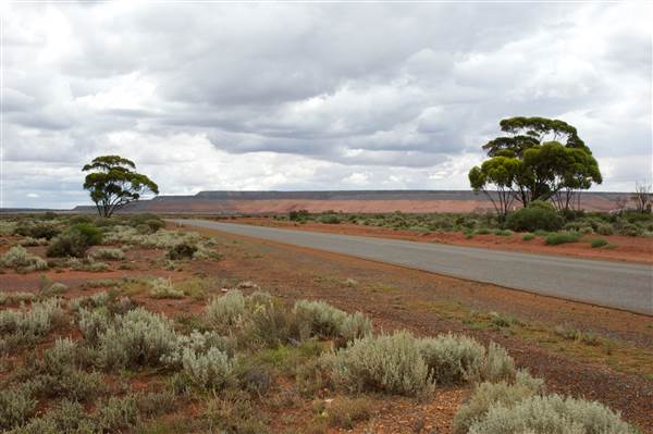 Mt Monger Road Area (24/03/2015)
