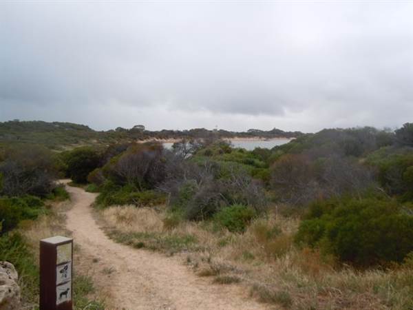 Cape Peron - Rockingham - from land (24/03/2015)