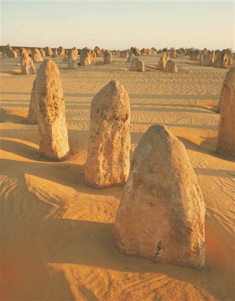 Pinnacles - Nambung National Park (25/03/2015)