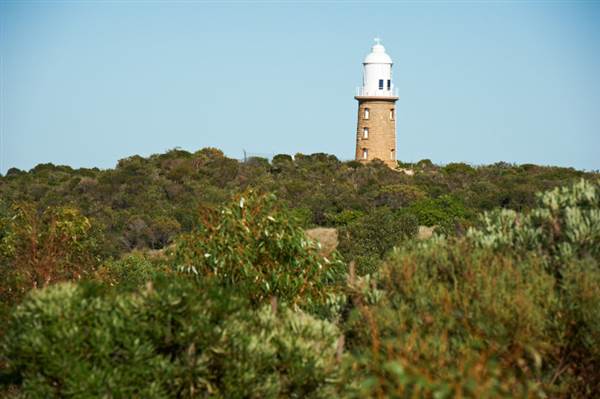 Woodman Light (25/03/2015)