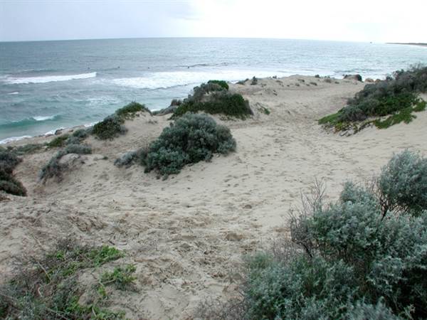 The Spot (25/03/2015)